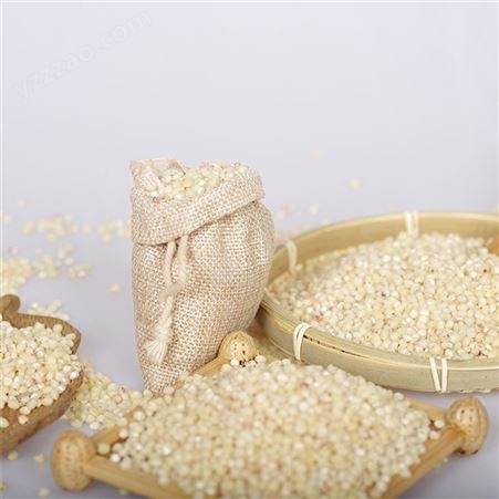 咪然高粱米 粗粮 有机高粱米