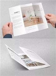 徐汇印刷 彩页印刷 画册设计 宣传资料设计 KT板 信封手提袋设计
