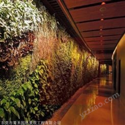 绿植墙 供应仿真背景植物墙  箐禾园林