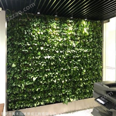 箐禾园林 仿真植物墙批发  仿真植物墙仿真绿植墙  植物墙工艺
