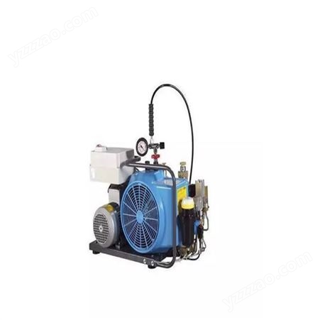 WG32-100空气呼吸器充填泵 维护便捷携带方便