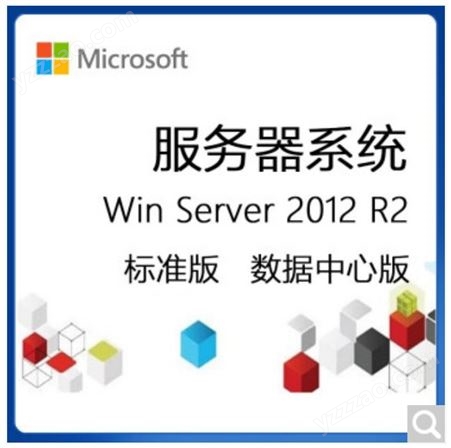 windows server2016标准版std嵌入式win svr2016std EMB系统软件