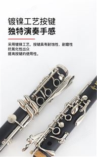雅马哈单簧管YCL-S1成年儿童初学者入门考级专业乐队演奏黑管乐器