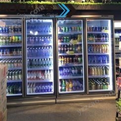 奥驰冷柜海南三沙市制冷厂两三门四门饮料冷藏展示水果保鲜立式冷冻柜