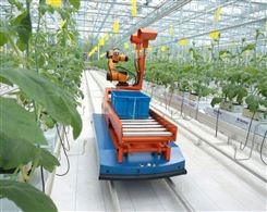 RCZG-5型轨道式果蔬采摘机器人高成功率低损伤率