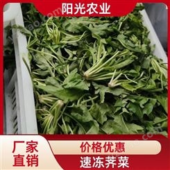 阳光农业 方便实用 荠菜 耐贮不易变质 馄饨包子水饺料