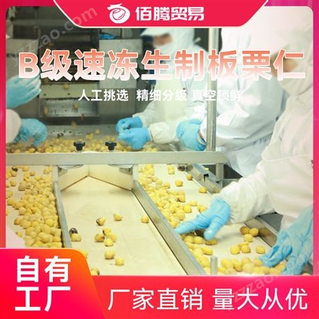 B级速冻板栗仁 各产地原料销售 大于2/3粒度 粽子用 量大面议