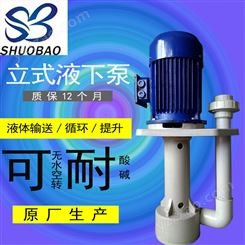 耐酸碱可空转立式液下水泵 废气喷淋蚀刻线液下泵 涂装循环立式泵