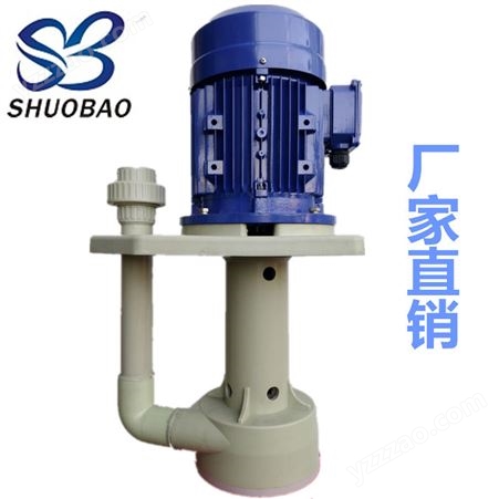 硕宝净化洗涤液下泵 喷淋立式液下水泵 废气塔立式泵STH-50SK-15