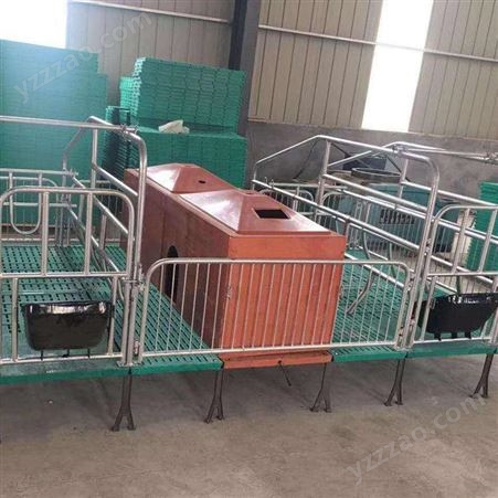 爱达加工 养猪设备 母猪产床 母猪 双体母猪产床