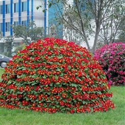 立体绿化园艺 公园广场立体种植 钢筋骨架造型花球 花塔花柱