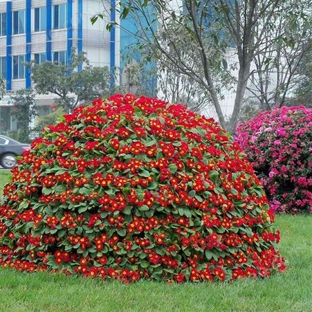 立体绿化园艺 公园广场立体种植 钢筋骨架造型花球 花塔花柱