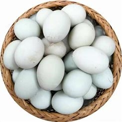 红树林新鲜生海鸭蛋大蛋单枚68-72克  美味烤海鸭蛋 货源充足