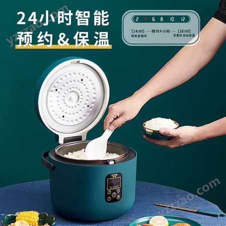 ricecooker一件代发多功能电饭锅智能厨房小家电小电饭煲