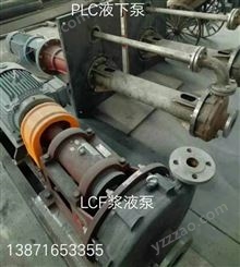 泵壳泵体LCF50/460I叶轮螺母 LCF50/460I机械密封泵盖泵轴联轴器
