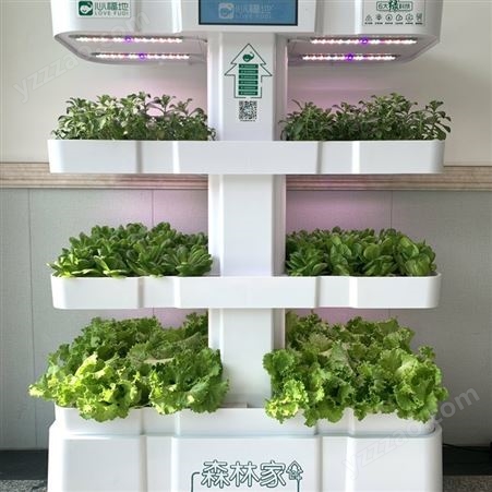 厂家现货 新款智能家用 净化空气 森林家水培种植机