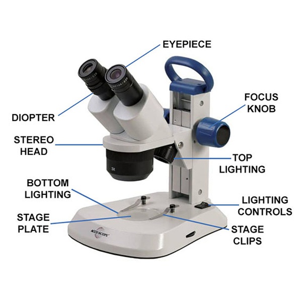 立体显微镜的标记部件